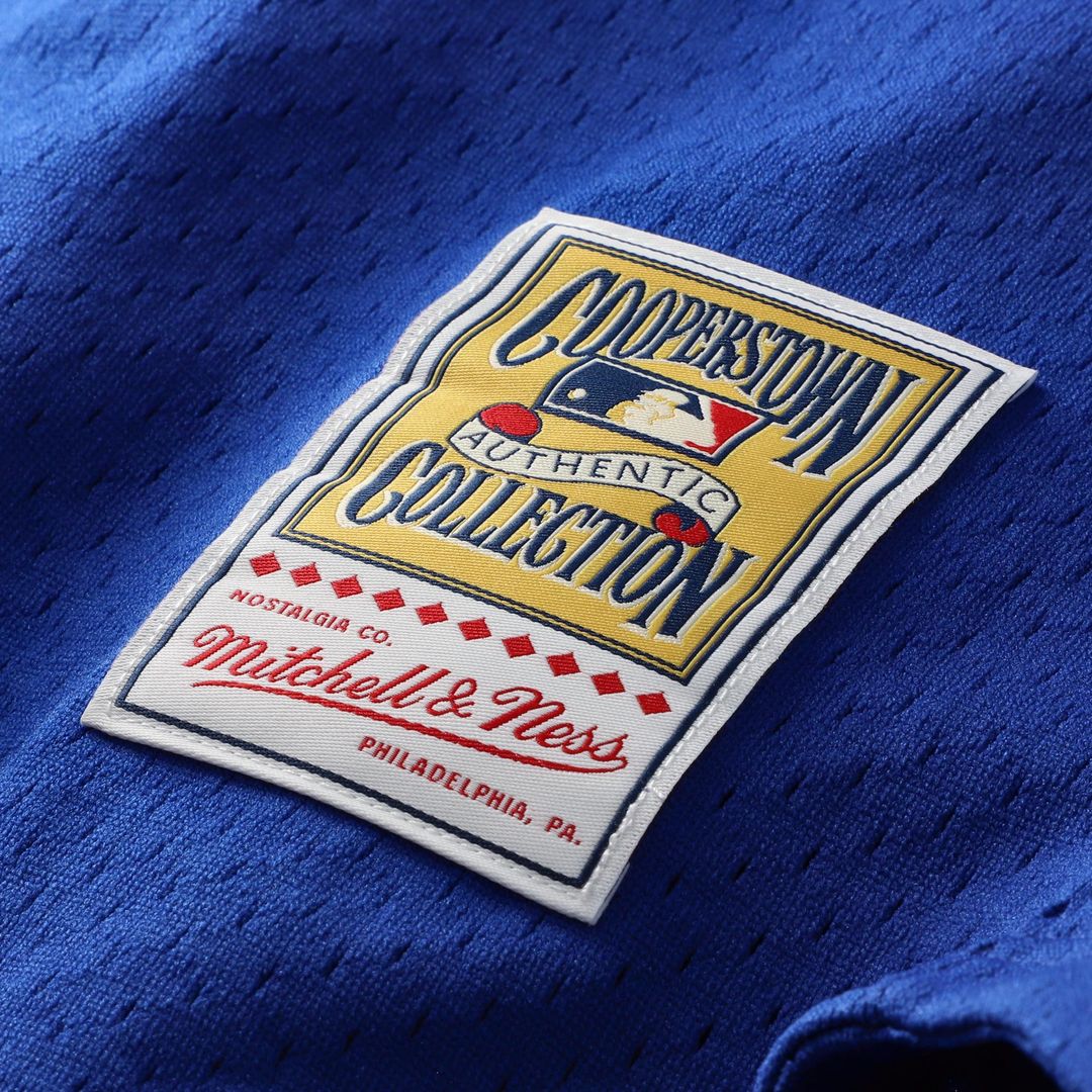 Mike Piazza Los Angeles Dodgers Mitchell & Ness Cooperstown Collection Mesh Batting Practice Button-Up Jersey - Royal