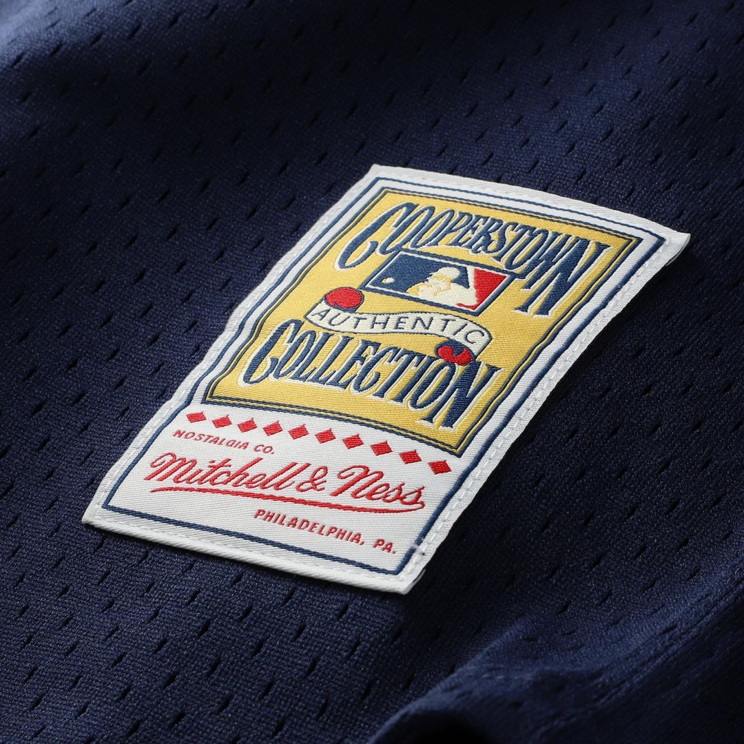 Carlton Fisk Chicago White Sox Mitchell & Ness Authentic Batting Practice Jersey - White