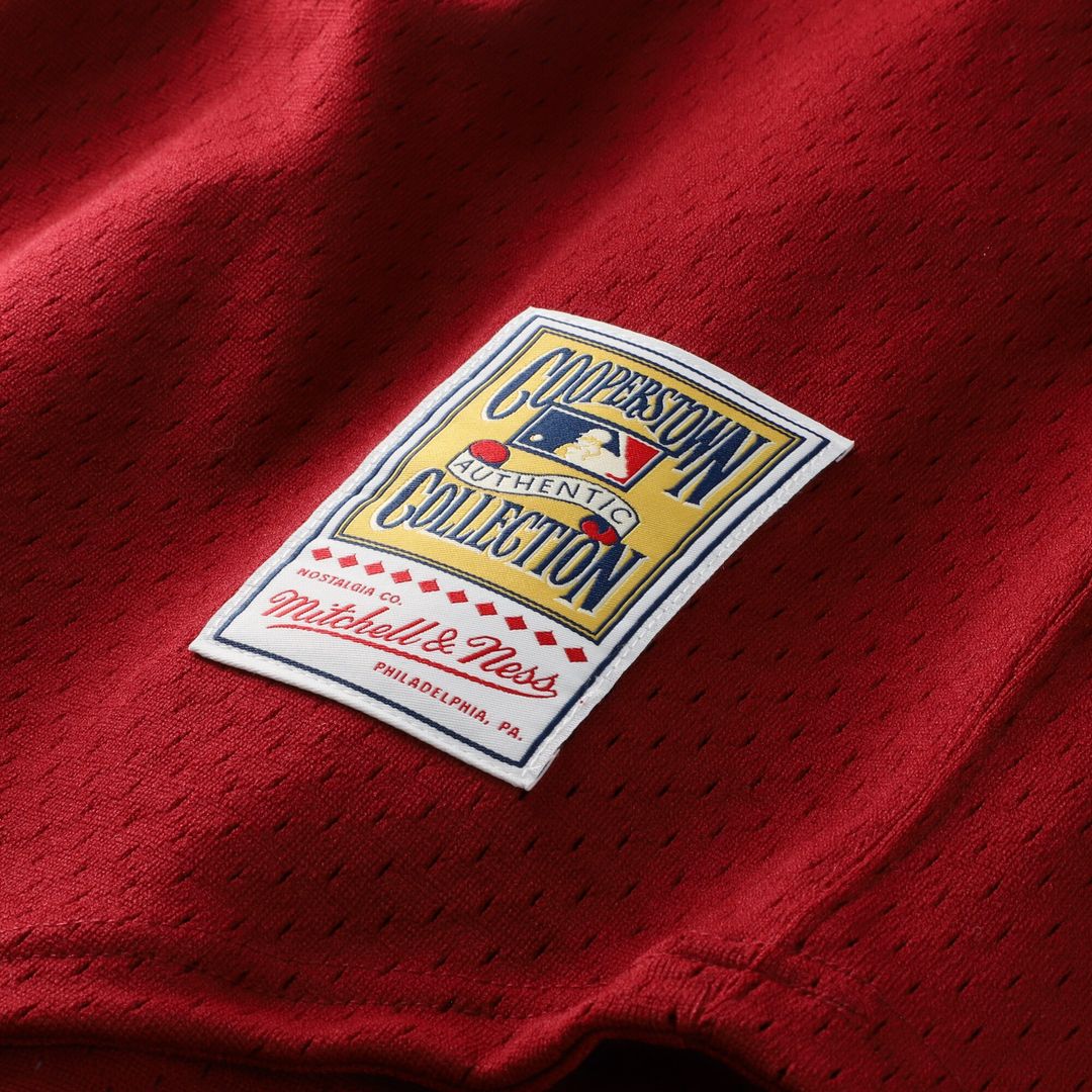 Darren Daulton Philadelphia Phillies Mitchell & Ness Authentic Batting Practice Jersey - Scarlet