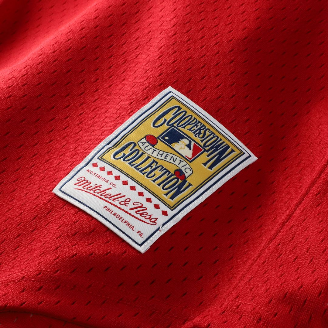 Ozzie Smith St. Louis Cardinals Mitchell & Ness Authentic Batting Practice Jersey - Navy