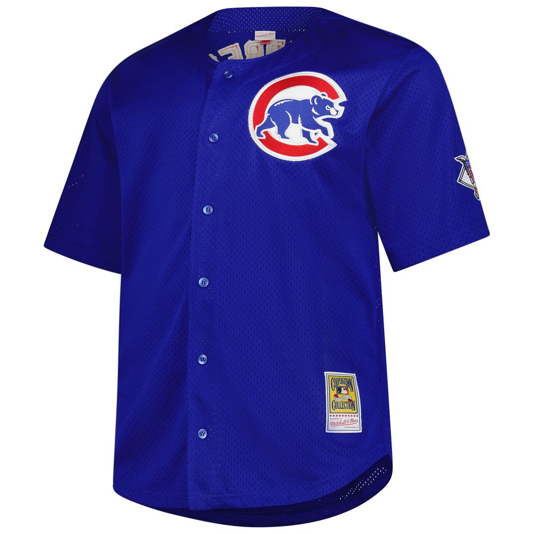Ryne Sandberg Chicago Cubs Mitchell & Ness Big & Tall Cooperstown Mesh Batting Practice Jersey - Royal