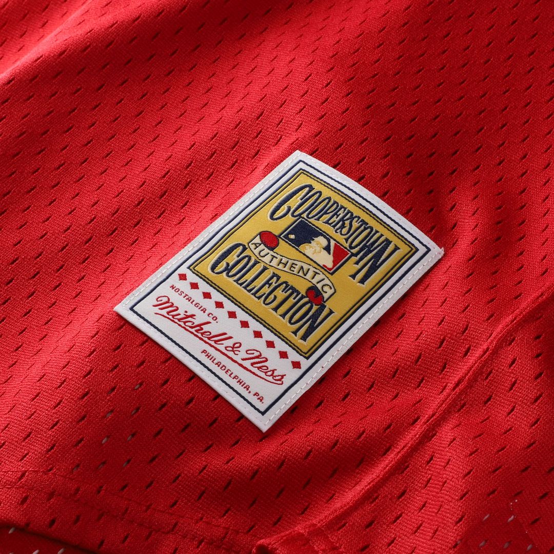 Barry Larkin Cincinnati Reds Mitchell & Ness Youth Cooperstown Collection Mesh Batting Practice Jersey - Red