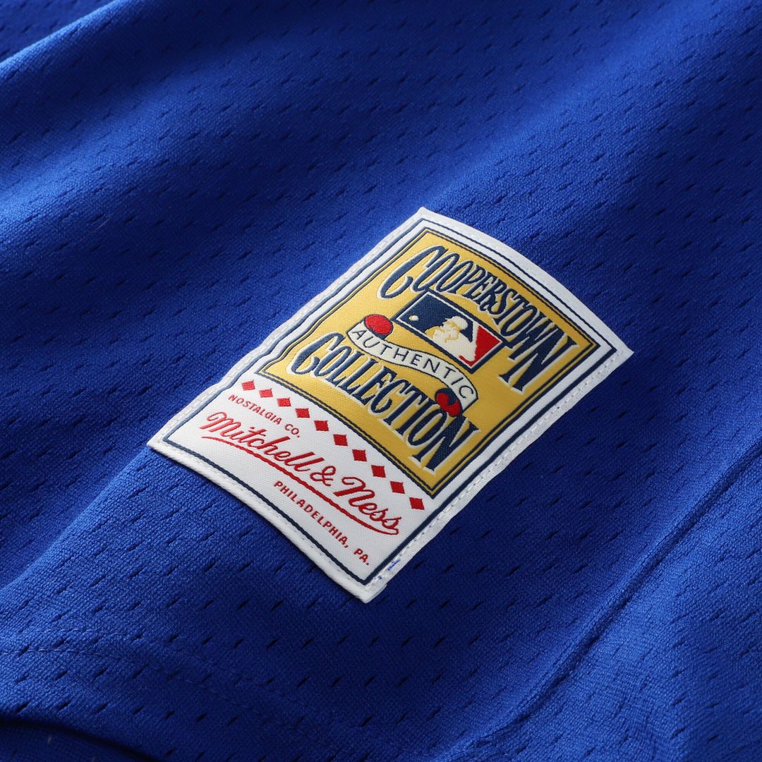 Dale Murphy Atlanta Braves Mitchell & Ness Authentic Batting Practice Jersey - Royal