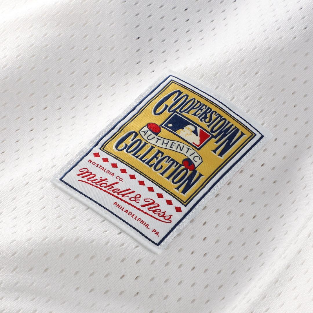 Carlton Fisk Chicago White Sox Mitchell & Ness Authentic Batting Practice Jersey - Navy
