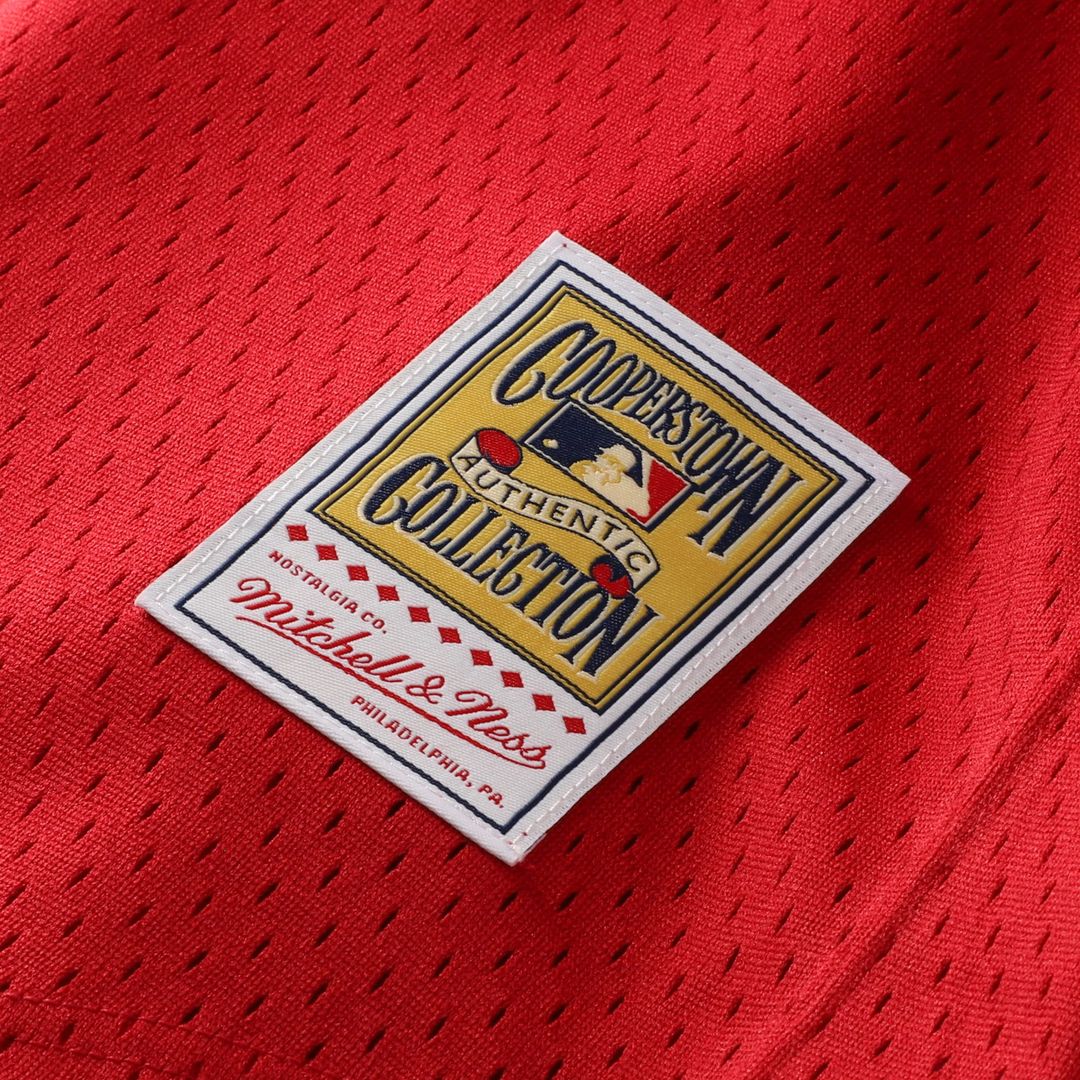 Ozzie Smith St. Louis Cardinals Mitchell & Ness Youth Cooperstown Collection Mesh Batting Practice Jersey - Navy