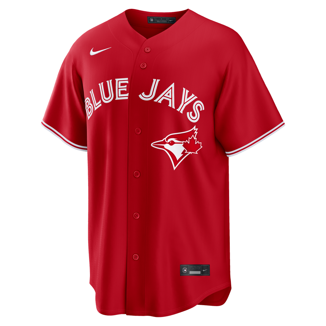 Anthony Santander Toronto Blue Jays Nike Alternate Replica Jersey - Light Blue