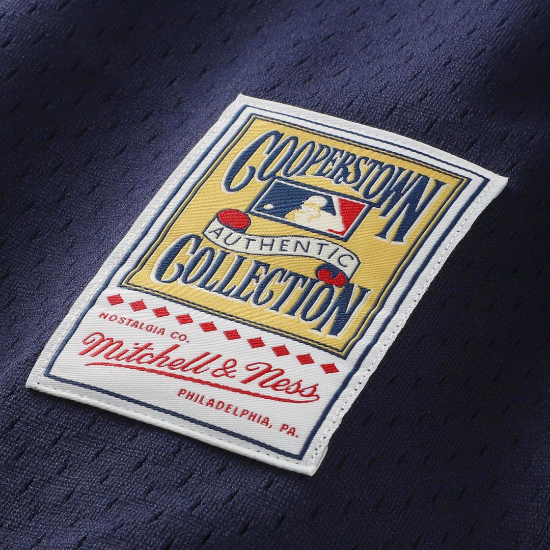 Ozzie Smith St. Louis Cardinals Mitchell & Ness Authentic Batting Practice Jersey - Navy