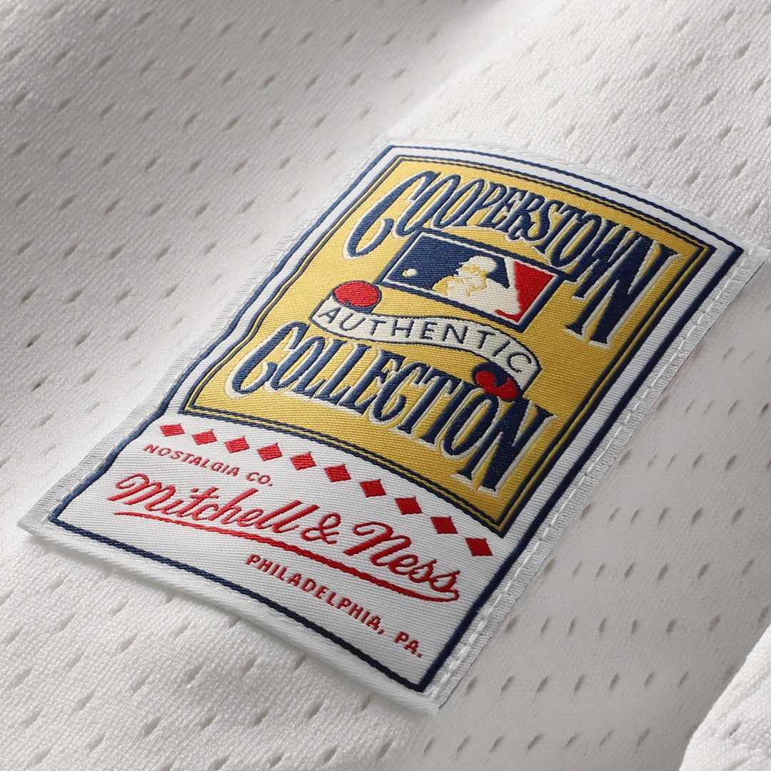 Cal Ripken Jr. Baltimore Orioles Mitchell & Ness Authentic Batting Practice Jersey - Orange