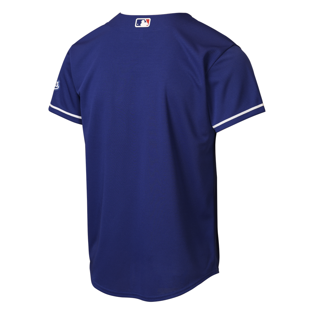 Los Angeles Dodgers Nike Youth Alternate Stadium Jersey - Gray