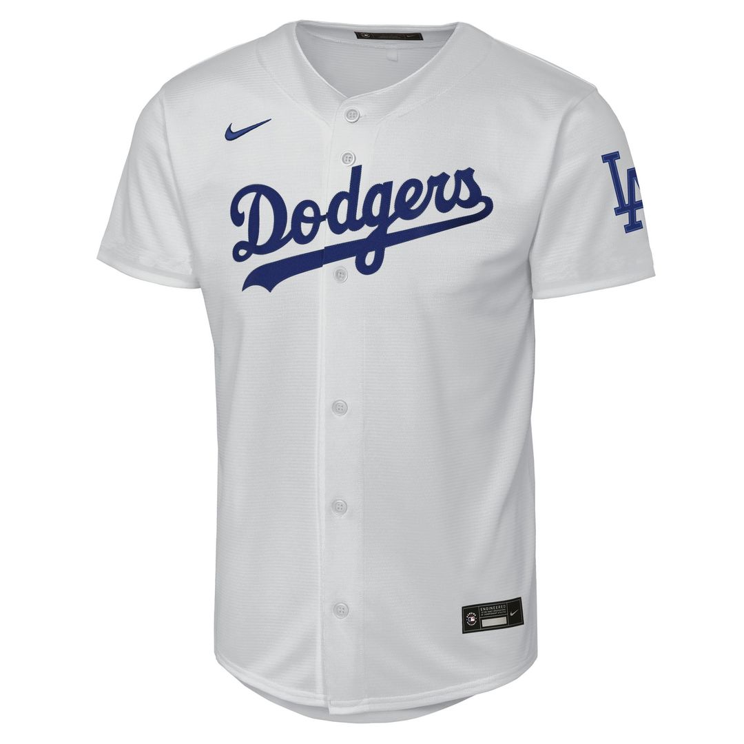 Los Angeles Dodgers Nike Youth Alternate Stadium Jersey - Gray