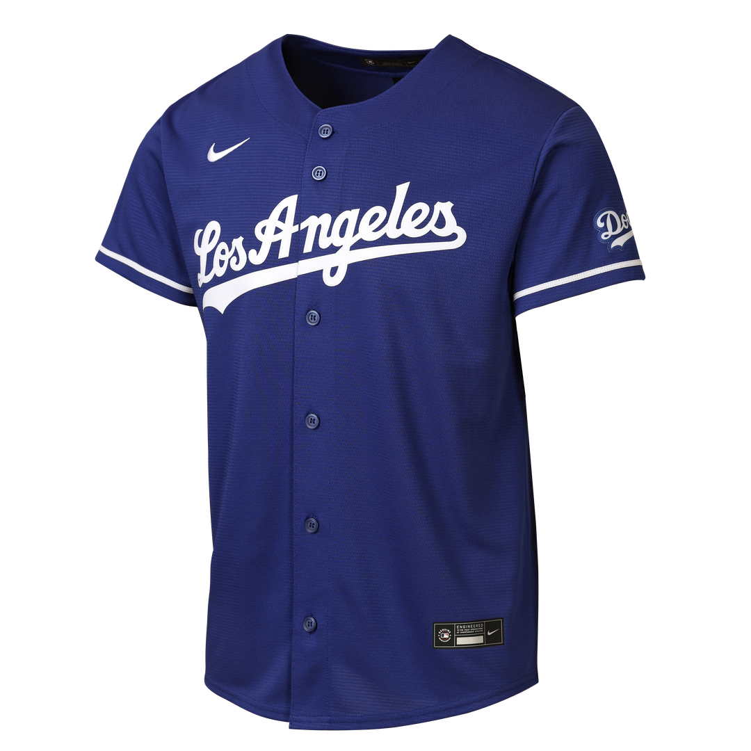 Los Angeles Dodgers Nike Youth Alternate Stadium Jersey - Gray