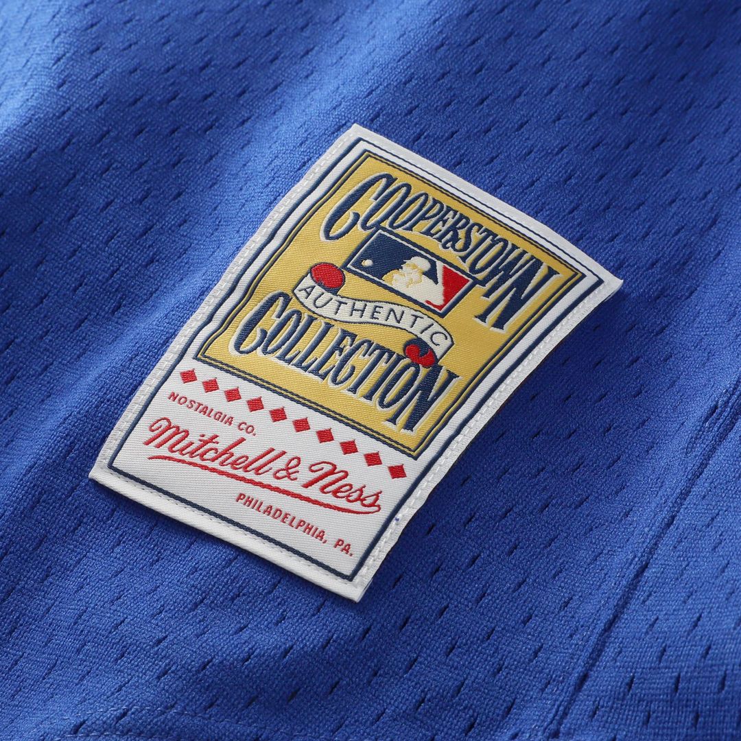 Nolan Ryan Texas Rangers Mitchell & Ness Big & Tall Cooperstown Mesh Batting Practice Jersey - Royal